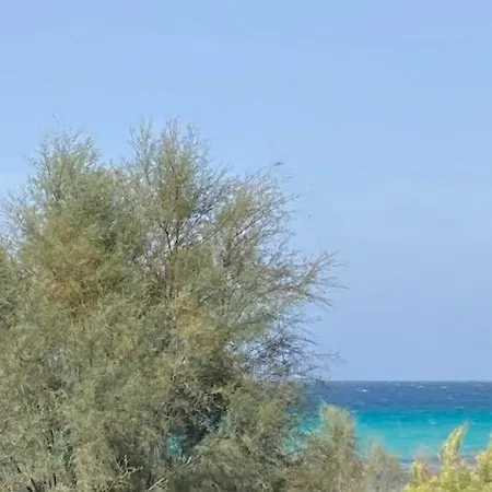 Palazzo Simone 4* Nardò